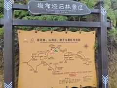 -梭布垭石林景区