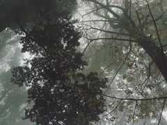 -灵秀温泉