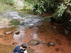 -赤水丹霞旅游区·佛光岩