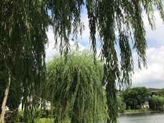 -上海怡沁园度假酒店