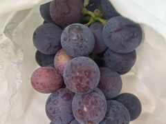 -马陆小张葡萄园农家乐