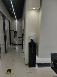 -FINE HAIR 烫染专业设计