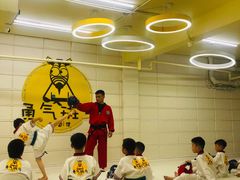 -勇气斑马·巴西柔术&跆拳道(浦东三林店)