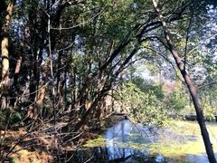 -东湖落雁景区