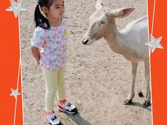 -北京麋鹿生态实验中心