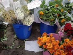 -循礼门鲜花花市(武汉循礼门店)