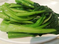 白灼菜心-點無缺茶楼·海鲜酒家(世博店)