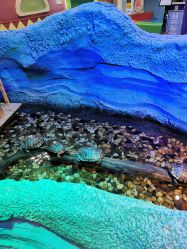 -酷嗒动物文化乐园(cutezoo西溪乐天城店)