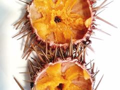 -海胆小馆(东北水饺·春柳店)