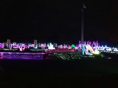 -东南花都花博园