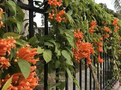 -华南国家植物园-售票处