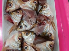 -秦记南岗鱼锅(珠吉路店)