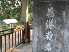 -西湖外事游船(花港观鱼码头)