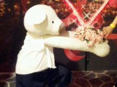 -济州岛泰迪熊博物馆