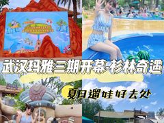 -武汉玛雅海滩水公园