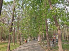 -洛阳市隋唐城遗址植物园