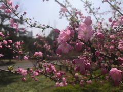 -白塘生态植物园
