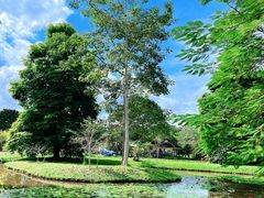 -中国科学院西双版纳热带植物园