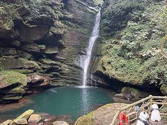 -中国大熊猫保护研究中心雅安碧峰峡基地