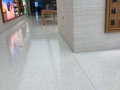 -Apple零售店(苏州店)