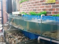 -蟹谢蒸鲜自助餐厅