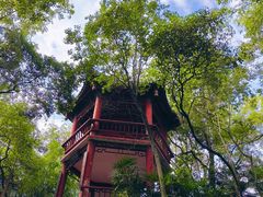 -房湖公园