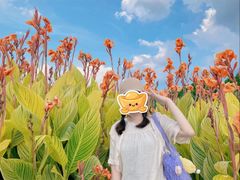 -洋湖国家湿地公园