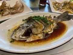 清蒸青斑鱼-金海湾海鲜排档(朱家尖店)