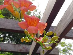 -杭州城北体育公园