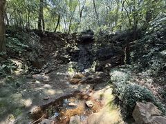 -上海佘山国家森林公园天马山园