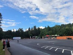 -五营红松林海景区