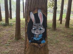 -森波拉奇妙世界