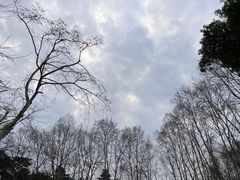 -杭州香格里拉饭店