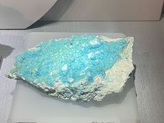 -湖南省地质博物馆