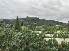 -桃源山庄·水蜜桃采摘·柴火鸡·烧烤团建(龙泉山店)