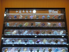 -温州博物馆