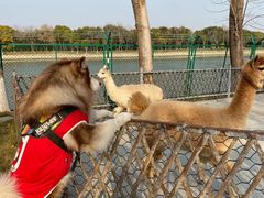 -太阳岛度假酒店