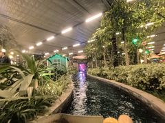 -南宫五洲植物乐园