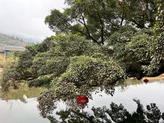 -云水谣景区