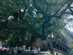 -上坦村
