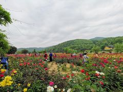 -龙寺生态园