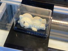 -都可手作(学士街手作店)