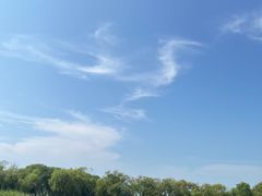 -洪湖生态旅游区