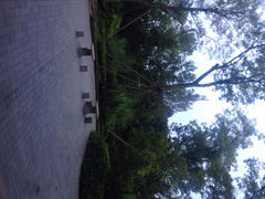 iphone_upload_pic-青城道汤池