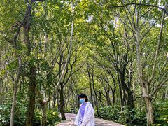-东湖落雁景区
