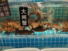-SEA西雅图海鲜自助餐厅(海乐世界店)