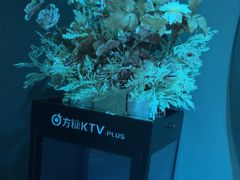 -方糖KTV-PLUS(世茂广场店)