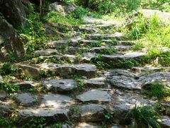 -北京鹫峰国家森林公园