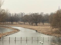 -北京麋鹿生态实验中心