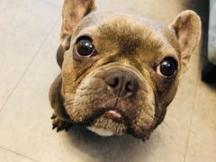 -南山酒肆(南山董事绘店)